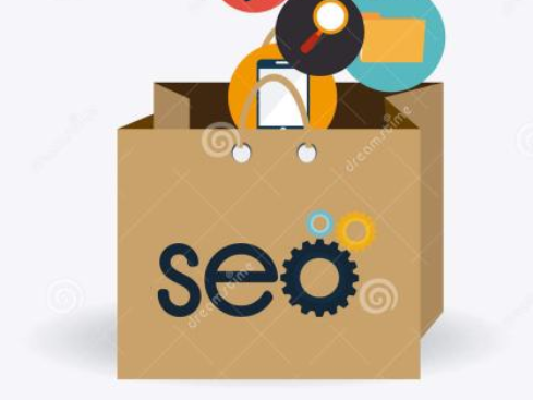 怎么样可以提高网站的收录(图1)